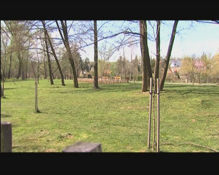 Faültetés a Föld Napján Faültetés a Föld Napján