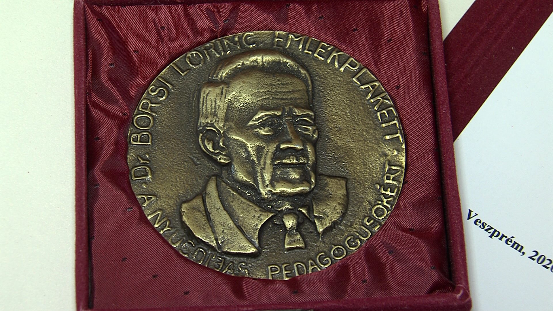 Dr. Borsi Lőrinc - díj