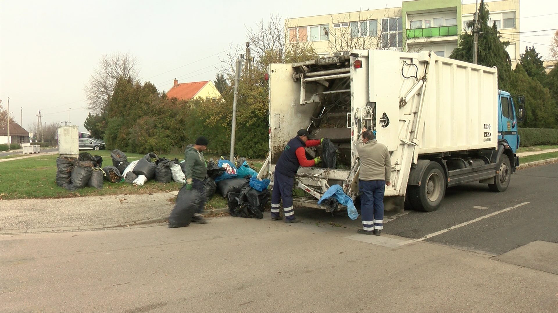 Zajlik a zöldhulladékgyűjtés Zajlik a zöldhulladékgyűjtés