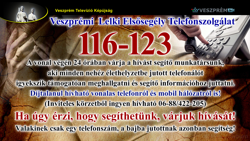 kepujsag-LelkiElsosegelyTelefon2