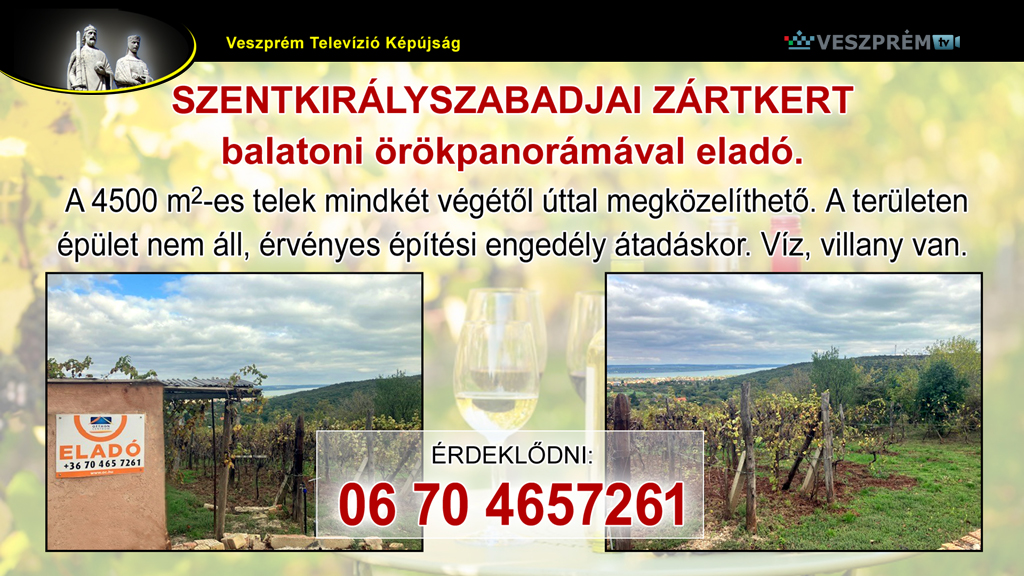 kepujsag-Szentkiraly_telek2