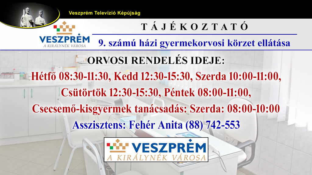 kepujsag-VMJV 09_Gyerekorvos2