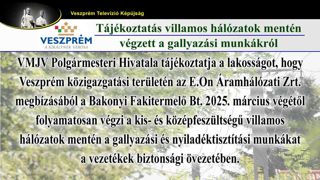 kepujsag-VMJV Gallyazas 2025 1