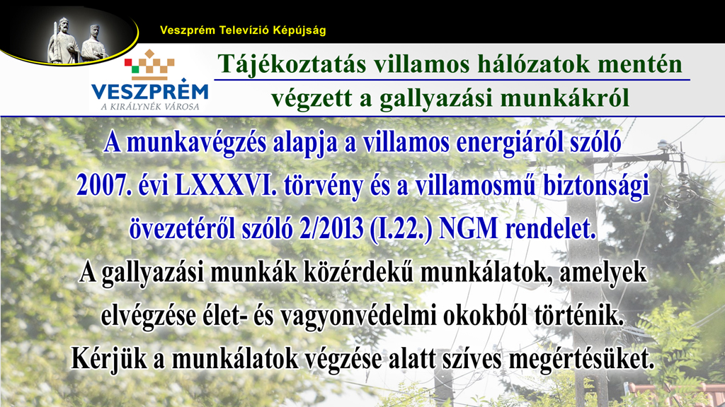 kepujsag-VMJV Gallyazas 2025 2