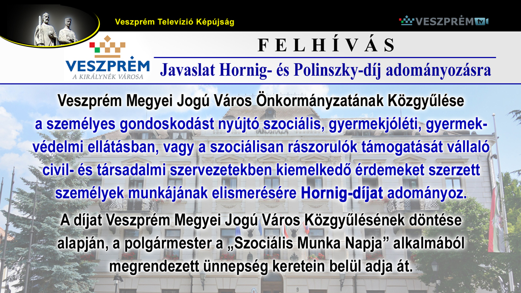 kepujsag-VMJV Hornigdij_1