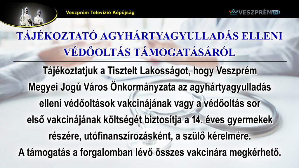 kepujsag-VMJV Vedooltas1