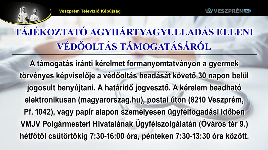 kepujsag-VMJV Vedooltas3