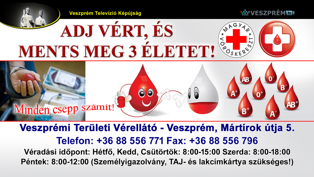 kepujsag-Veradas2021ekf