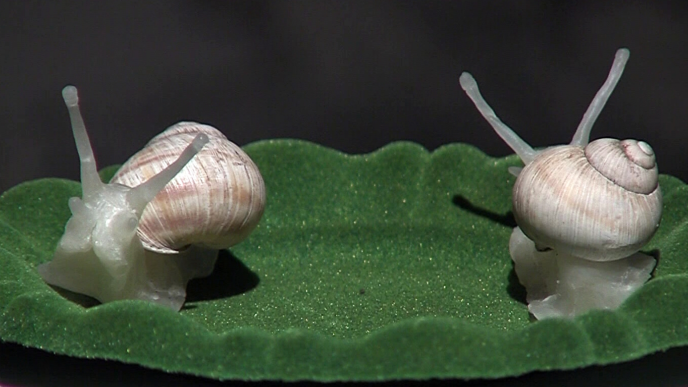 Fagyott felhő és sivatagi por‭ – ‬Enzsöly Kinga és Tulisz Hajnalka munkái a várban