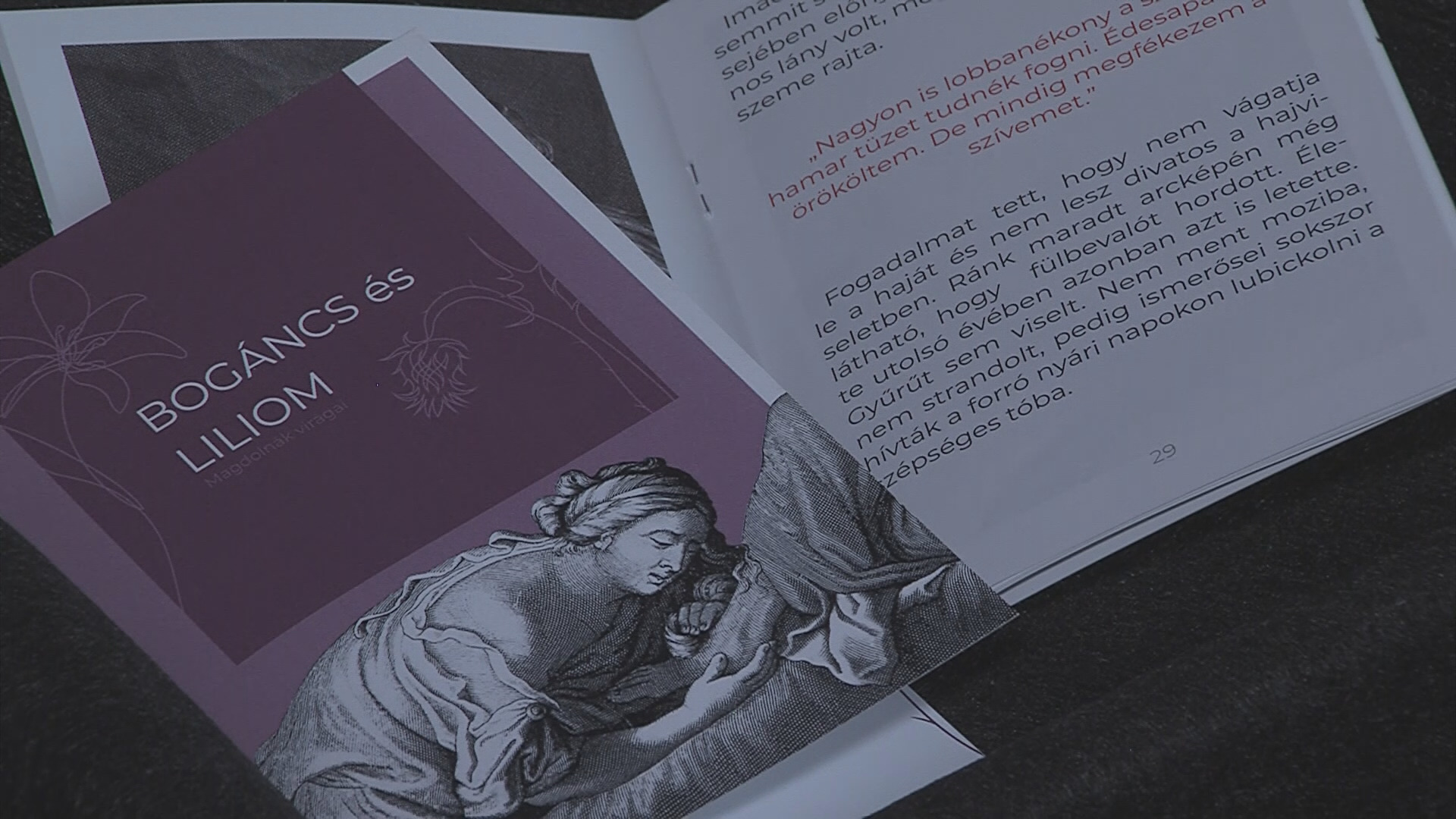 Az év kiállítása