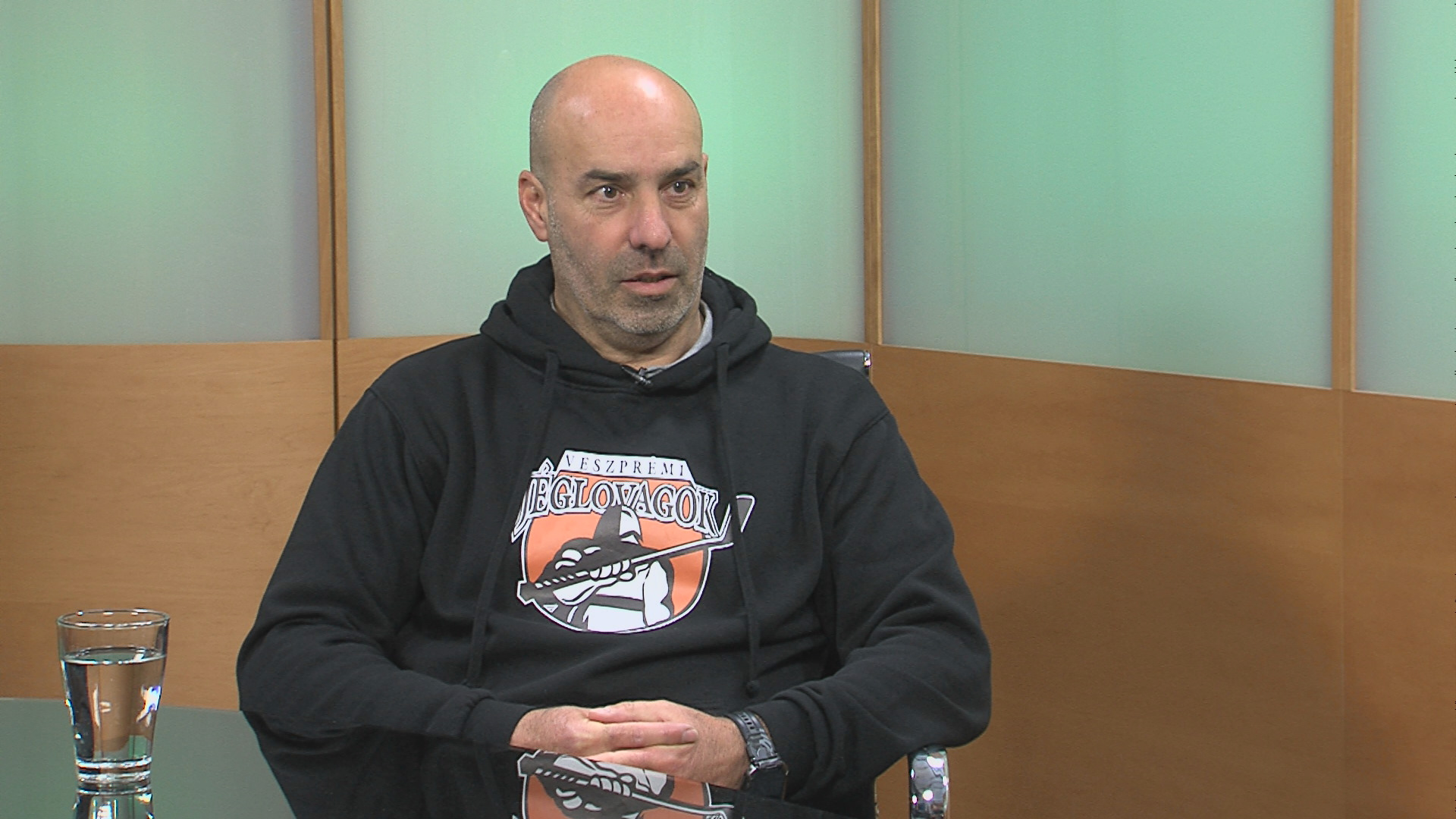 Jégcsarnok, bajnokságok